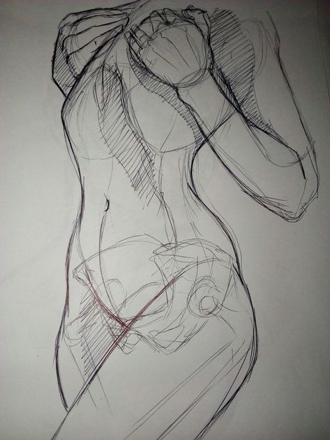 Line Drawing Anatomy, Male Arched Back Reference, Anatomy Study Poses, Female Reference Anatomy, Sketch Anatomy Woman, Female Character Drawing Reference, Sketch Poses Female Anatomy Reference, Back Anatomy Reference Female, Womens Anatomy Reference