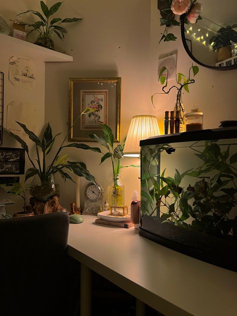 Fishtank Bedroom Aesthetic, Aquarium In Room Aesthetic, Desk With Fish Tank, Aquarium Set Up Ideas, Fish Tank In Room Aesthetic, Desk Fish Tank Ideas, Fish Tank On Desk, Fish Tank Room Ideas, Aquarium Room Decor