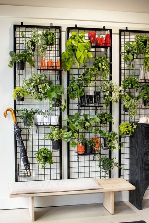 Plant wall diy