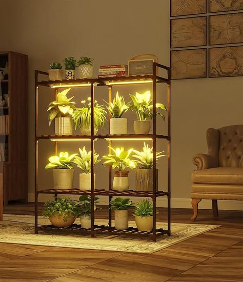 Arlmont & Co. Plant Stand with Grow Lights for Indoor Plants, Wood Plant Shelf 4 Tier Large Flower Stand - Wayfair Canada Partition Shelves, Wooden Plant Shelf, Plant Shelves Outdoor, Window Plant Shelf, Indoor Plant Shelves, Indoor Plant Stand, Plant Rack, Window Plants, Support Pour Plante