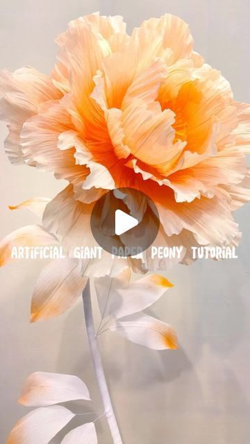 Zoi Decorative Design on Instagram: "Sunset - Giant Peony Flower making tutorial!#Artificialflowers #giant flower#wedding #party #Window display#peony #peonyflower #paperflowers#organza #tutorial #tutorials #mall" Organza Tutorial, Giant Flower Wedding, Crepe Paper Flowers Wedding, Ideas Casamiento, Paper Peonies Tutorial, Giant Paper Flower Tutorial, Flower Making Tutorial, Crepe Paper Flowers Tutorial, Big Paper Flowers