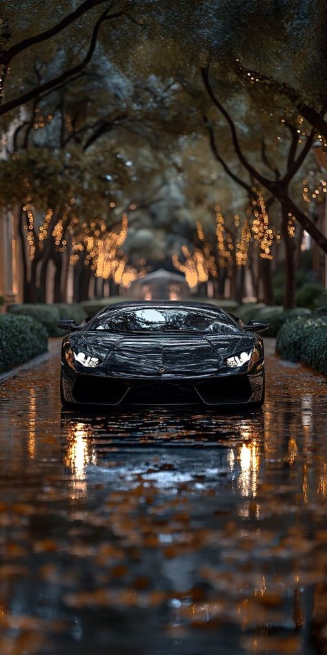 Lamborghini Aventador Wallpaper, Expensive Sports Cars, Tmax Yamaha, Mustang Wallpaper, Sports Car Wallpaper, Cool Car Pictures, Most Expensive Car, Super Luxury Cars, Expensive Cars