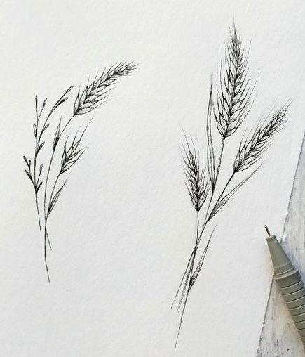 Wheat And Poppy Tattoo, Tiny Wheat Tattoo, Wheat And Wildflower Tattoo, Hay Tattoo Ideas, Wheat Tattoo Design, Wheat And Flower Tattoo, Grasses Tattoos, Masculine Tattoo Designs, Masculine Fine Line Tattoo