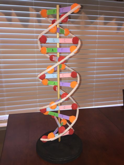 Diy Dna Model, Dna Structure Model, Dna Double Helix Model, Dna Model Project, Dna E Rna, Dna 3d, Dna Facts, Dna Project, Dna Art