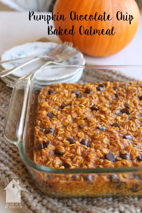 Pumpkin Chocolate Chip Breakfast Bars, Pumpkin Chocolate Baked Oatmeal, Baked Oatmeal With Cranberries, Healthy Pumpkin Oatmeal Recipes, Crockpot Pumpkin Oatmeal Overnight, Healthy Fall Breakfast Meal Prep, Pumpkin Banana Baked Oatmeal, Breakfast Oatmeal Casserole, Best Fall Breakfast Recipes