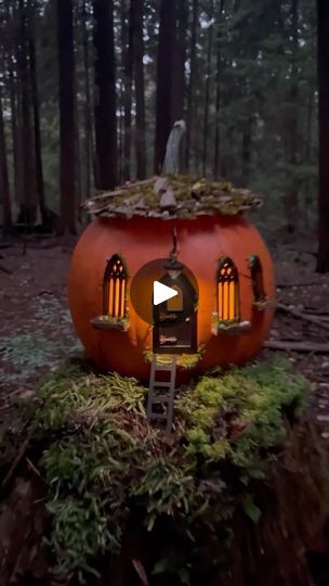 60K views · 13K reactions | How about a solar-powered pumpkin fairy house? 🎃✨🤔

I just made this one, and it was so much fun to put together! If you’re feeling crafty, I’ve created a DIY kit with everything you need to make your own. Plus, all the pieces can be reused for other fairy projects or to make another pumpkin house next year. 🍂🧚‍♀️

Check it out here: https://creatoriq.cc/3zO3Asa (Link in BIO)

#fairyland #fairyhouse #PumpkinFairyHouse #FairyCrafts #FallDIY #MagicalMakers #FairyGardenFun #HalloweenVibes #HandmadeMagic #ad #etsycreatorco @etsy | Maryinthefairyland Pumpkin Fairy House Diy, Fairy House Pumpkin, Fairy Projects, Fairy House Kit, Pumpkin Fairy House, Pumpkin Fairy, Fairy Tree Houses, Clay Fairy House, Pumpkin House