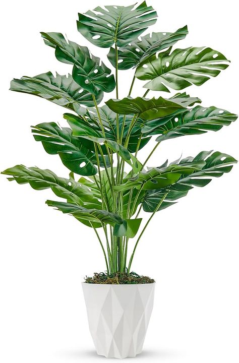 Amazon.com: Der Rose 2 Packs 28" Fake Plants Large Artificial Monstera Faux Plants Indoor with White and Black Pots for Home Office Living Room Decor : Home & Kitchen Large Fake Plants, Artificial Plants Indoor, White Pot, Home Office Living Room, Plants Indoor, Artificial Trees, Planting Roses, Fake Plants, Faux Plants