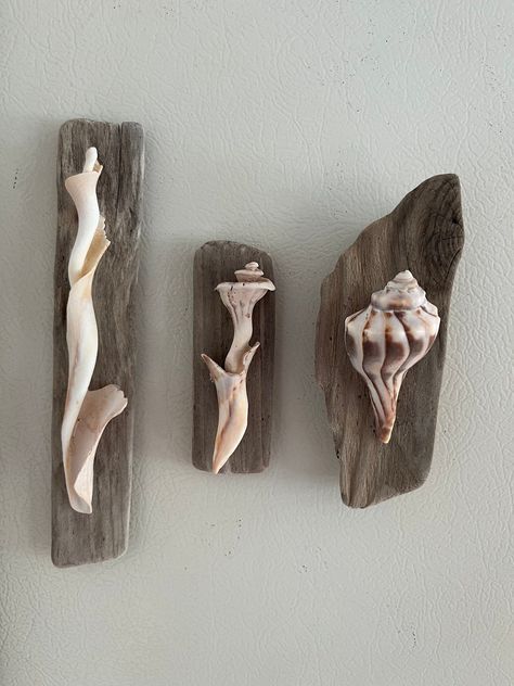 Driftwood Shell Magnets (3)- #Driftwood #Magnets #Shell Check more at https://howcandothis.com/diyideas/driftwood-shell-magnets-3/ Shell Art Projects, Shell Magnets, Beach Art Diy, Seashell Art Diy, Driftwood Diy, Driftwood Art Diy, Seashell Projects, Art Coquillage, Seashell Wall Art