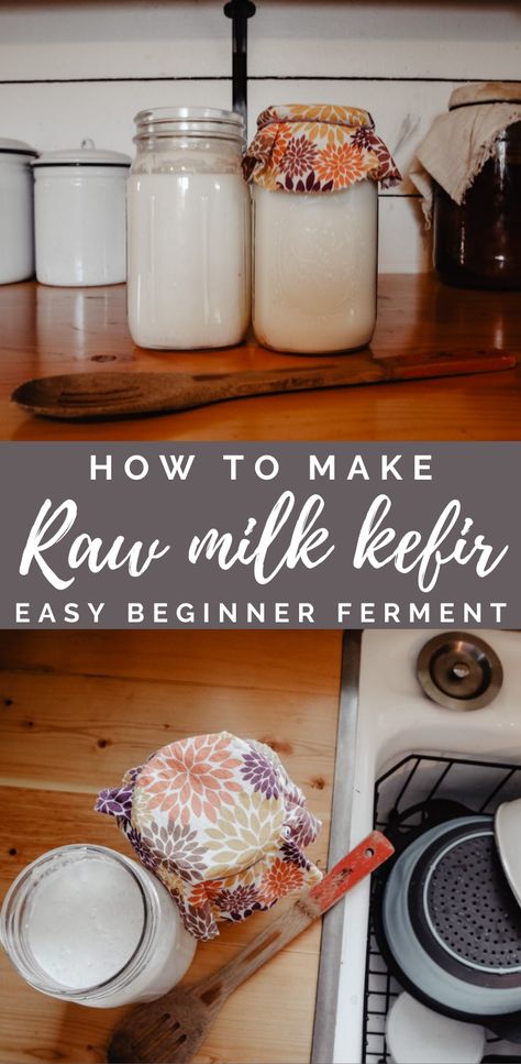 Homemade Kefir, Milk Kefir Recipes, Milk Kefir Grains, Kefir Recipes, Fermented Milk, Kefir Grains, Nourishing Traditions, Healthy Probiotics, Milk Kefir