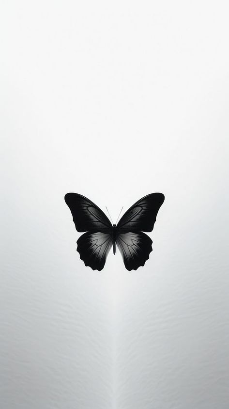 Butterfly animal insect flying. | premium image by rawpixel.com / juju. Butterfly With Black Background, Butterfly White Background, Minimalistic Iphone Wallpaper, Butterfly Flying, Black And White Butterfly, Instagram Black Theme, Butterfly Black And White, Dark Academia Wallpaper, Pretty Wallpapers Tumblr