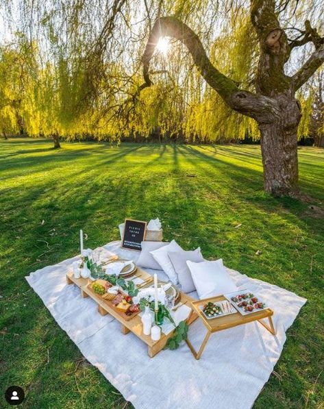 Luxury picnic inspiration and styling. Park picnic. Outdoor Picnic Setup Ideas, Backyard Celebration Ideas, Country Picnic Aesthetic, Romantic Picnic Decor Ideas, Red Luxury Picnic Setup, Outdoor Birthday Party Set Up Ideas, Backyard Picnic Ideas Romantic, Picnic Decor Ideas Outdoor, Aesthetic Picnic Setup