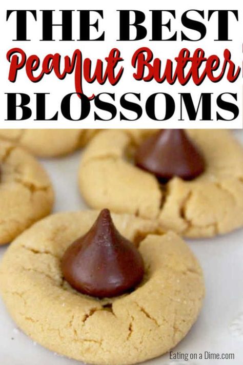 Hershey Kiss Cookie, Peanut Butter Hershey Kiss Cookies, Peanut Butter Kiss Cookies Recipe, Kiss Cookie, Kiss Cookie Recipe, Peanut Butter Blossom, Peanut Butter Kiss, Peanut Butter Kiss Cookies, Philadelphia Torte