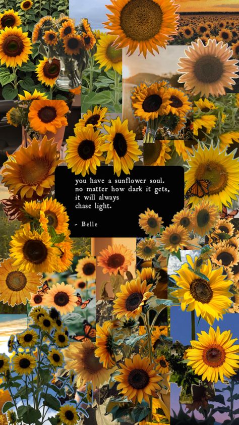 Sunflower Collage, Sunflower Quotes, Sunflower Pictures, Pretty Aesthetic, Arte Van Gogh, Pretty Phone Wallpaper, Sunflower Wallpaper, Flower Therapy, Yellow Aesthetic