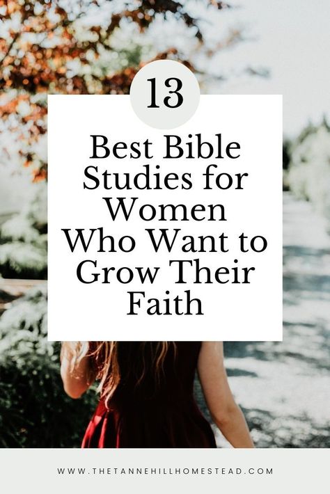 Best Study Bibles For Women, Women’s Devotional Bible, Bible Reading For Women, Guided Bible Study For Women, Daily Bible Devotions For Women, Best Bible For Beginners, Single Woman Bible Study, 2024 Bible Study, Best Bible For Women