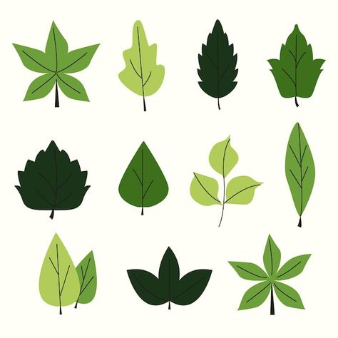 Leaf Character, Pictures Of Leaves, Cartoon Leaf, Leaf Graphic, Leaf Vector, Doddle Art, Cute Blue Wallpaper, Leaf Clipart, Leaves Illustration