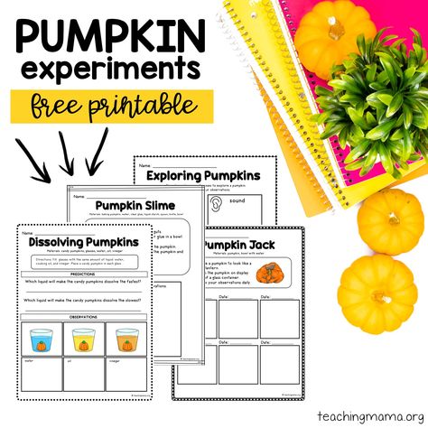 Looking for pumpkin activities for kids? Try these hands-on pumpkin experiments that are both educational and entertaining. Free printable included! Pumpkin Jack Activities, Pumpkin Experiments, Pumpkin Activities For Kids, Pumpkin Science Activities, Pumpkin Science Experiment, Pumpkins Preschool, Pumpkin Science, Child Development Activities, Planting Pumpkins