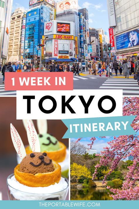 One Week In Japan Travel, Tokyo Bucket List Travel Tips, Best Time To Go To Japan, Visit Tokyo Things To Do In, Packing For Tokyo, 1 Week Japan Itinerary, Best Time To Travel To Japan, Japan 1 Week Itinerary, Japan Must Visit Places