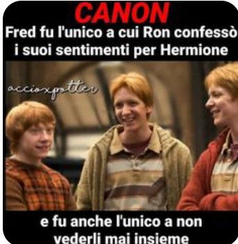 Posto citazioni su Harry Potter Headcanon Harry Potter, Harry Otter, Harry Potter Dolls, Harry Potter Quiz, Harry Potte, Harry Potter Ron, Fred And George Weasley, Harry Potter Tumblr, Harry Potter 2