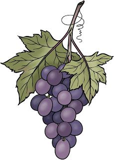 Grapes Drawing, Leaf Drawing Easy, Grape Drawing, Bible Clipart, Grape Painting, Dolls Printable, Sulaman Pita, Story Pictures, Bunch Of Grapes