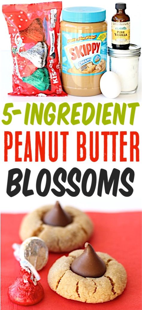 Easy Peanut Butter Kiss Cookies Recipe! {5 Ingredient Blossoms} Kiss Blossom Cookies, Peanut Butter Kiss Cookies Recipe, Desserts Peanut Butter, Friends Crafts, Kiss Cookie Recipe, Peanut Butter Blossoms Recipe, Hersheys Kisses, Peanut Butter Kiss, Peanut Butter Kiss Cookies