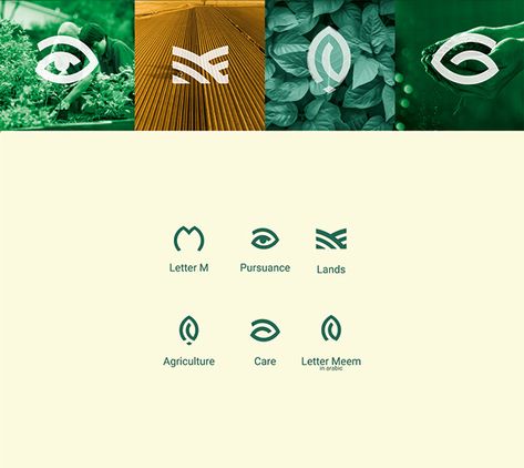 Mozarea visual identity and logo design project for an agricultural services company. This branding initiative combines key agricultural symbols like a leaf and plowed lines with the Arabic letter 'م' and English 'M,' creating a unique logo that embodies sustainable farming, land care, and environmental stewardship. Ideal for searches related to agriculture branding, farm logo design, and agribusiness visual identity Farmhouse Logo Design, Agriculture Brand Identity, Agriculture Graphic Design, Farm Branding Design, Agriculture Branding, Farm Graphic Design, Sustainability Branding, Plant Branding, Plant Logo Design