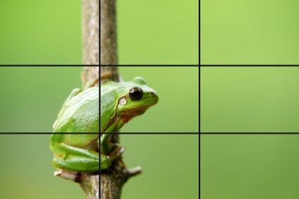 Rule of thirds Rules Of Thirds Photography Ideas, Rule Of Thirds Examples, Thirds Photography, Photography Composition Rules, Rule Of Thirds Photography, Types Of Composition, Teaching Photography, Rules Of Composition, Photography Rules