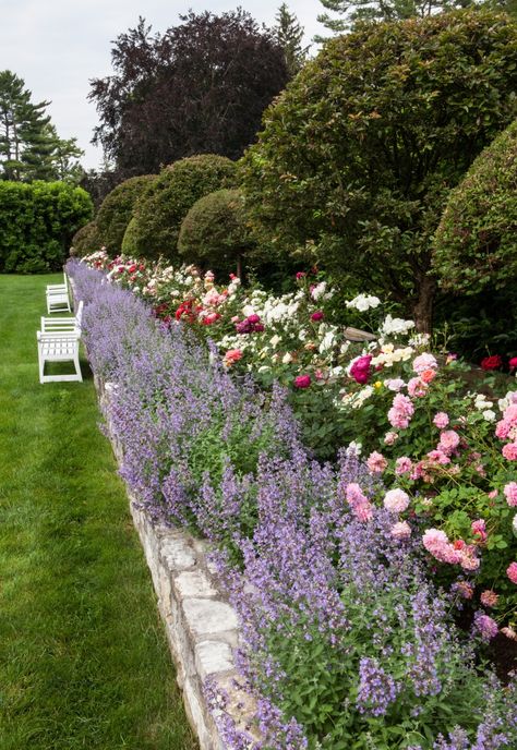 Backyard Simple, Screen Porches, Funny Vine, Rose Garden Design, Garden Design Layout, Lavender Garden, Flower Garden Design, Have Inspiration, The Secret Garden