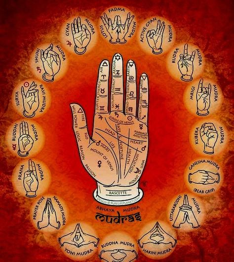 Kirtan Kriya, Schul Survival Kits, Cardigans Knitted, Gyan Mudra, Hand Mudras, Chakra Health, Yoga Facts, Yoga Mantras, Seven Chakras