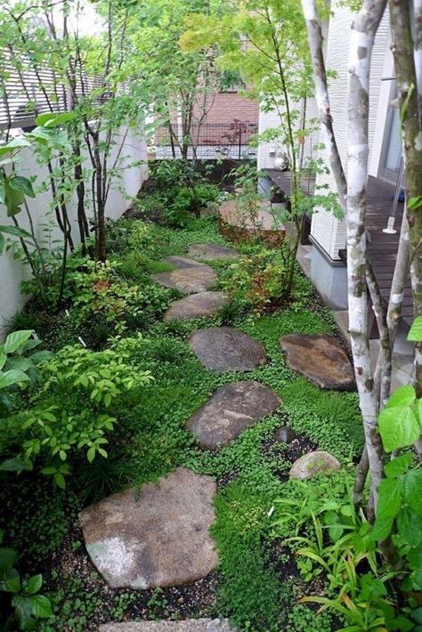 Small Garden Landscape Design, Small Garden Landscape, Gravel Garden, Garden Design Layout, Small Backyard Gardens, Easy Landscaping, Outdoor Gardens Design, Backyard Garden Design, Garden Landscape Design