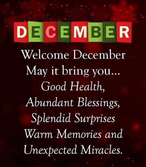 Happy New Month December Blessings, New Month Quotes December, Happy New Month December Wishes, Happy New Month Of December, Good Morning December Quotes, December Quotes Happy, Happy December Quotes, Good Morning December, December 1st Quotes