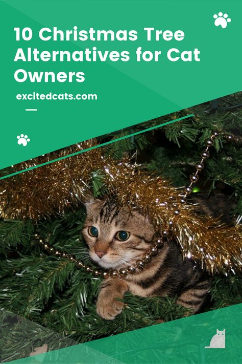 Cats and Christmas trees do not mix. Whether they’re knocking baubles onto the floor or scaling the branches, cats seem to love the smell of pine and the natural allure of the tree bark. While it might seem like they also love nothing more than causing trouble, your cat is really only doing what instinct demands by climbing, exploring, and inquisitively playing. Read more! #catsoftheworld #catlife #excitedcats #funnycats #christmastree #catadvice Cats And Christmas Trees Funny, Cat Friendly Christmas Trees, Christmas Tree Ideas Cat Proof, Christmas Tree Cats Safe, Cat Proofing Christmas Tree, Kitten Proof Christmas Tree, Cat Safe Christmas Tree Ideas, Christmas Tree For Cats Owners, Cat Friendly Christmas Tree Ideas