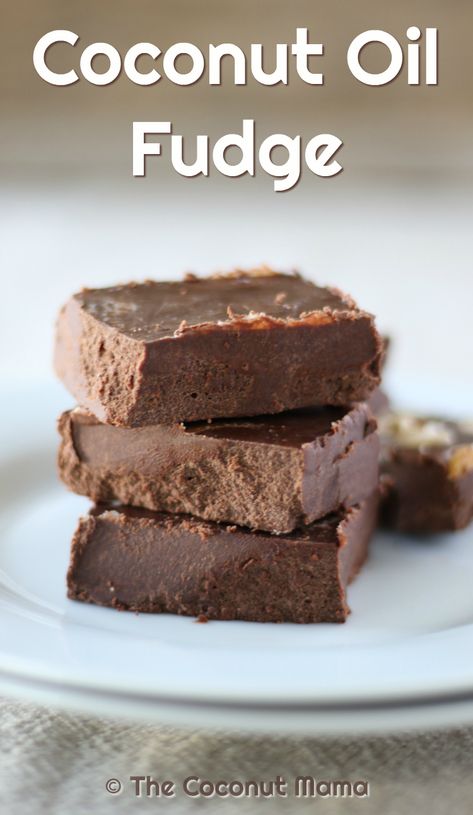 Coconut Oil Fudge, Peanut Butter Healthy, Dairy Free Fudge, Coconut Fudge, Fantasy Fudge, Healthy Fudge, Fat Bomb Recipes, Easy Fudge, High Fat Low Carb Recipes