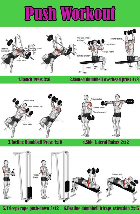 Push Day Workout Gym Men, Chest Day Workout Men Gym, Push Day With Dumbbells, Push Day Dumbbell, Push Day Circuit, Best Push Day Workout, Push Day Routine, Push Gym Workouts, Push Exercises Gym