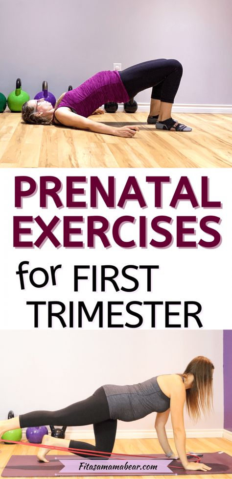 Pregnancy Exercise First Trimester, Best Pregnancy Workouts, First Trimester Workout, Pregnancy Stretches, Postpartum Workouts, Pregnancy Workout Plan, Exercise For Pregnant Women, Pregnancy Safe Workouts, Pregnancy First Trimester