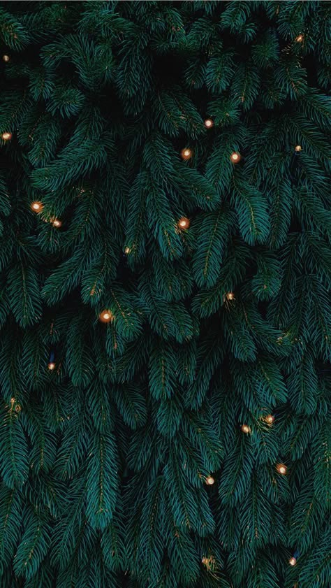 green Christmas tree with lights #tree #Christmas-tree #christmas #lights #deutschland Green Christmas Wallpaper Aesthetic, Green Christmas Wallpaper, Christmas Tree Wallpaper Iphone, Christmas Wallpaper Aesthetic, Tree Wallpaper Iphone, Iphone Wallpaper Winter, Christmas Tree Wallpaper, Christmas Tree Background, Christmas Aesthetic Wallpaper