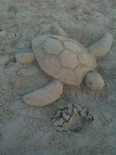 Beach Sand Castles, Beach Sand Art, Art Club Projects, Shark Images, Sand Sculpture, Snow Sculptures, Snow Art, Colored Sand, Sand Sculptures