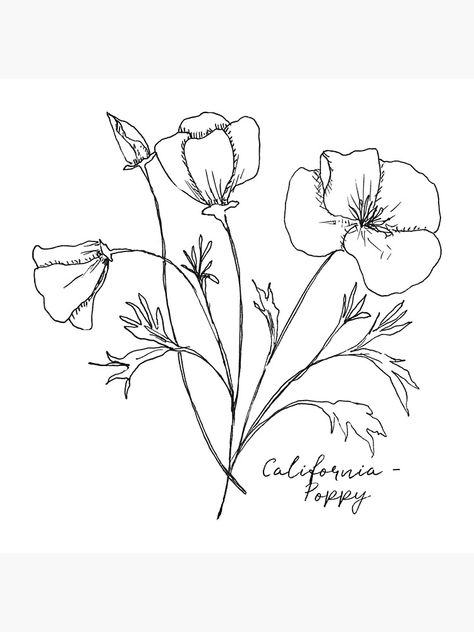 Flower Tat, Botanical Illustration Vintage, California Poppy, Floral Sleeve, Ink Illustrations, Poppy Flower, Tag Art, Botanical Illustration, Make Art