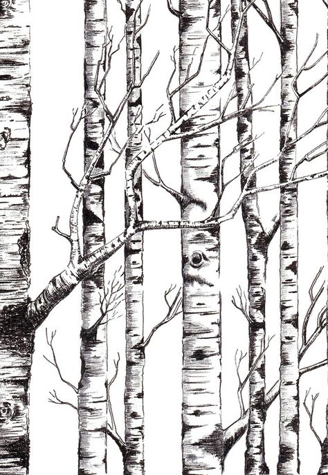 Birch Tree Tattoos, Tree Line Drawing, 자작나무 그림, Birch Tree Art, Tree Drawings Pencil, Tree Sketches, Wood Burning Art, Silver Birch, Birch Trees