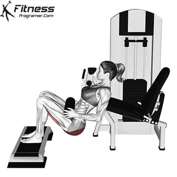 Hip Thrust On Leg Extension, Hip Thrust Workout Machine, Hip Truss Ejercicio, Hip Abductor Exercises, Leg Extension Machine, Hip Thrust Workout, Hip Thrust Machine, Personal Training Workouts, Muscle Building Workout Plan