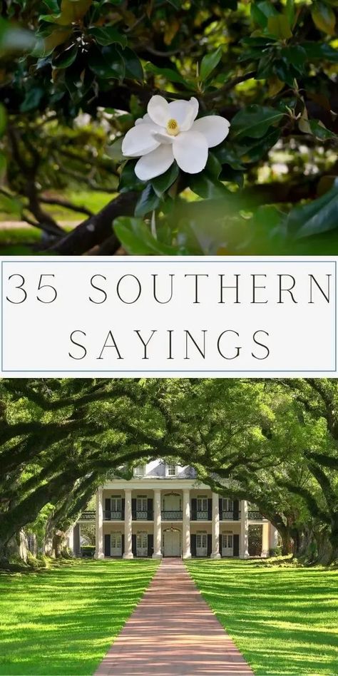 Explore 35 of the best Southern sayings, from timeless phrases to drawlin' proverbs. Savor sweet tea wisdom and Dixie expressions capturing Southern charm. Dive into the rich tapestry of Southern dialect gems, embracing the warmth of folk sayings. Let these quotes add hospitality and grace to your day. Immerse yourself in the soulful world of Southern slang and charm words. Whether a true Southerner or captivated by Dixie language, these expressions bring a smile. Southern Phrases. Things Only Southern People Say, Southern Hospitality Quotes, Southern Love Quotes, Old Southern Sayings, Southern Words And Phrases, Southern Sayings Quotes, Southern Slang Sayings, Country Slang Southern Sayings, Southern Sayings Deep South