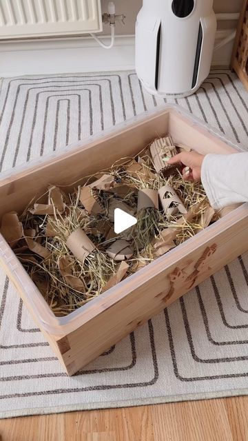 Rabbit Dig Box Ideas Diy, Diy Rabbit Playpen, Digging Box For Rabbits, Dig Box For Rabbit, Bunny Hideout Diy, Bunny Dig Box Ideas, Bunny Enrichment Ideas, Bunny Digging Box Diy, Rabbit Digging Box Ideas