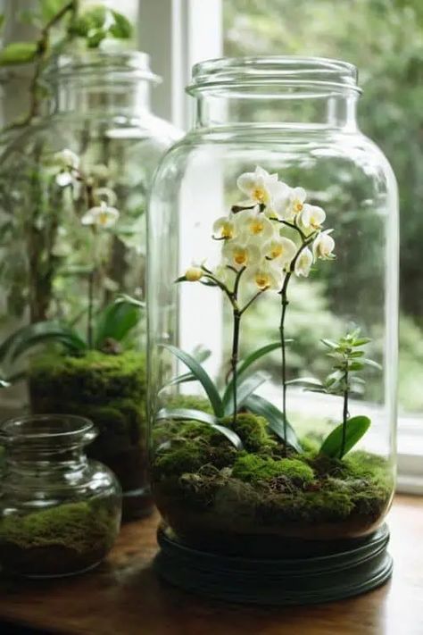 3.1-indoor-garden-ideas-orchids-in-glass-jar-1 Kitchen Plants Decor, Bedroom Spring, Hanging Glass Planters, Bottle Plant, Build A Terrarium, Baddie Apartment, Baddie Apartment Ideas, Plant In Glass, Plants In Jars