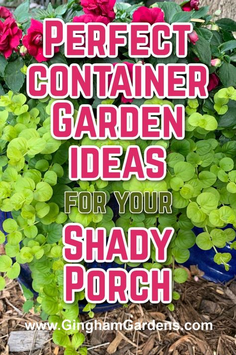 Stop by Gingham Gardens for a bunch of creative container ideas for shade. Including the best container plants for shade, along with adorable ideas for shady front porches. Colorful shade planter ideas. Flower pots for shade. Shade-loving annuals and perennials for  container gardens. Shade Plants For Front Porch, Best Shade Plants For Containers, Pots For Shaded Front Porch, Full Shade Potted Plants, Patio Pot Ideas, Shade Planters Ideas Container Plants, Plants For Shade Outdoors Pots, Plants For Pots In Shade, Container Plants For Shade Porches