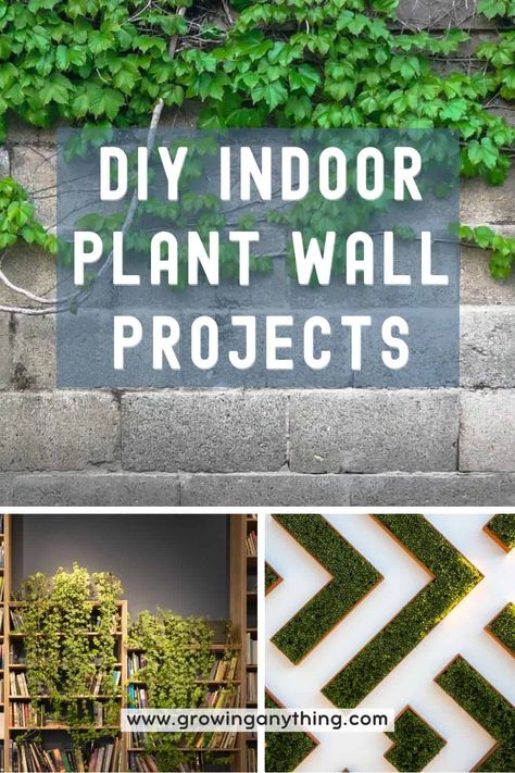 18 DIY Indoor Plant Wall Projects: Easy, and Effective Decoration Easy Plant Wall, Live Plant Wall Indoors, Live Green Wall, How To Make A Plant Wall, Wall Planters Indoor Diy, Diy Living Wall Indoor, Diy Plant Wall Indoor, Diy Wall Planter Indoor, Plant Feature Wall