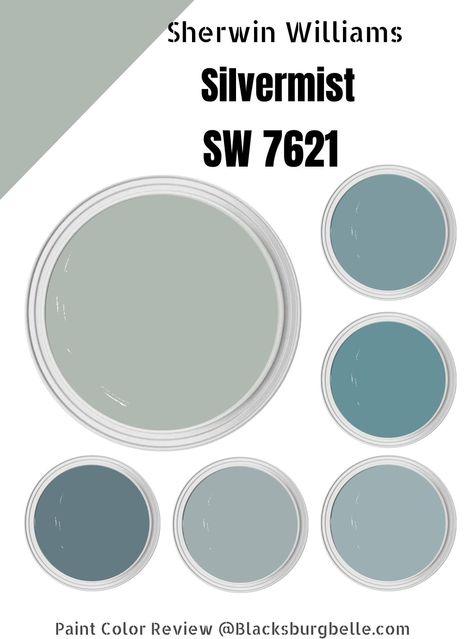 There is more than one way to bring nature into your home. While plants are great and to be honest, very beneficial to your living space, you can also bring some of the outdoors indoors with the right paint color. Sherwin Williams Silvermist is a cool blue with a delicate blend of green and skate gray undertones that resembles a soft foliage on a cloudy day. Sherwin Williams Stardew Front Door, Daphne Paint Sherwin Williams, Sherman Williams Stardew, Stardew Color Palette, Stardew Paint Sherwin Williams, Sw Stardew Paint, Stardew Paint Color, Krypton Sherwin Williams, Stardew Sherwin Williams