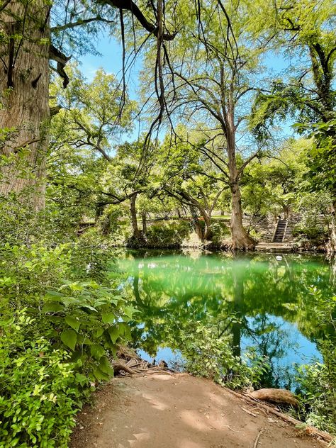 Wimberly Texas, Mount Baldy, Lavender House, Wimberley Texas, Travel Texas, Lavender Cottage, Texas Places, The Bucket List, Blue Hole