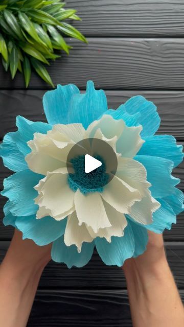 Flowers Made Out Of Crepe Paper, Crepe Paper Crafts Decor, Crepe Paper Decoration, Crape Paper Decoration, Tropical Paper Flowers Diy, Crape Paper Decorations, Large Crepe Paper Flowers Diy, Craft Flowers Paper Decoration, How To Make Crepe Paper Flowers