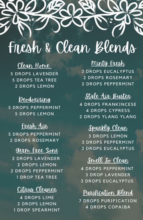 Essential Oil Blends for Every Need Essential Oils Fresh Clean Scent, Clean Scent Essential Oil Blends, Diffuser Placement In Room, Unique Diffuser Blends, Luxury Hotel Essential Oil Blends, Deodorizing Essential Oil Blends, Fresh Essential Oil Blends, Young Living Essential Oils Recipes Diffuser, Sage Essential Oil Blends