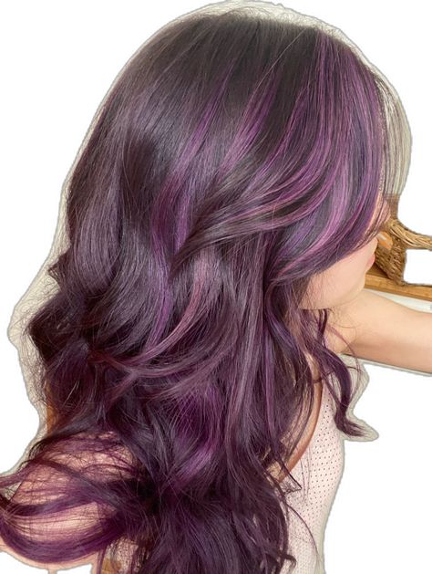 Plum Purple Hair, Isabella Valencia, Purple Highlights Brown Hair, Purple Hair Streaks, Purple Brown Hair, Aesthetic Note, Skunk Hair, Dark Purple Hair, Plum Hair