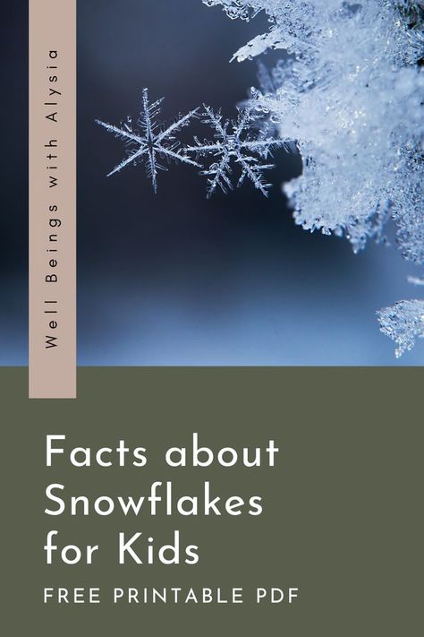 A close-up photograph of two snowflakes. The text reads facts about snowflakes for kids, free printable PDF. Snow Facts, Winter Lesson Plans, Snowflakes Science, Snowflakes For Kids, Love In Winter, Weather Lesson Plans, Simple Stem Activities, Winter Lesson Plan, Weather Lessons